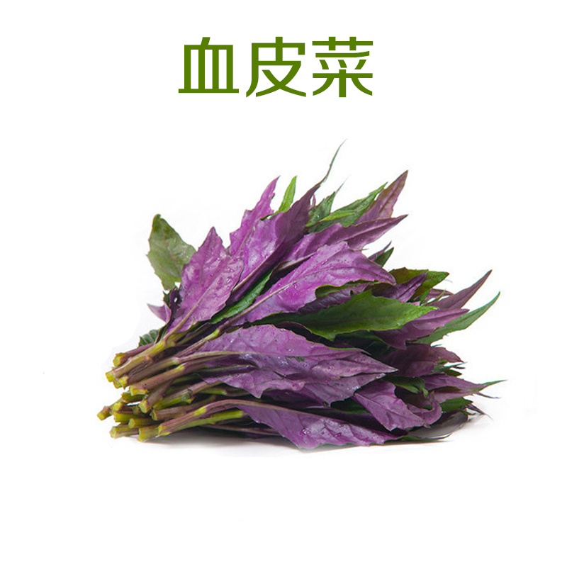 【风车车生鲜】血皮菜 半斤 一斤装