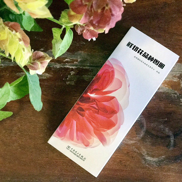 鲜切花品种图册