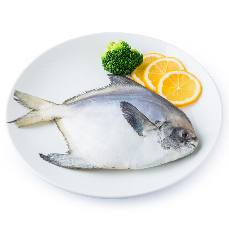 大白鲳 冰鲜鱼