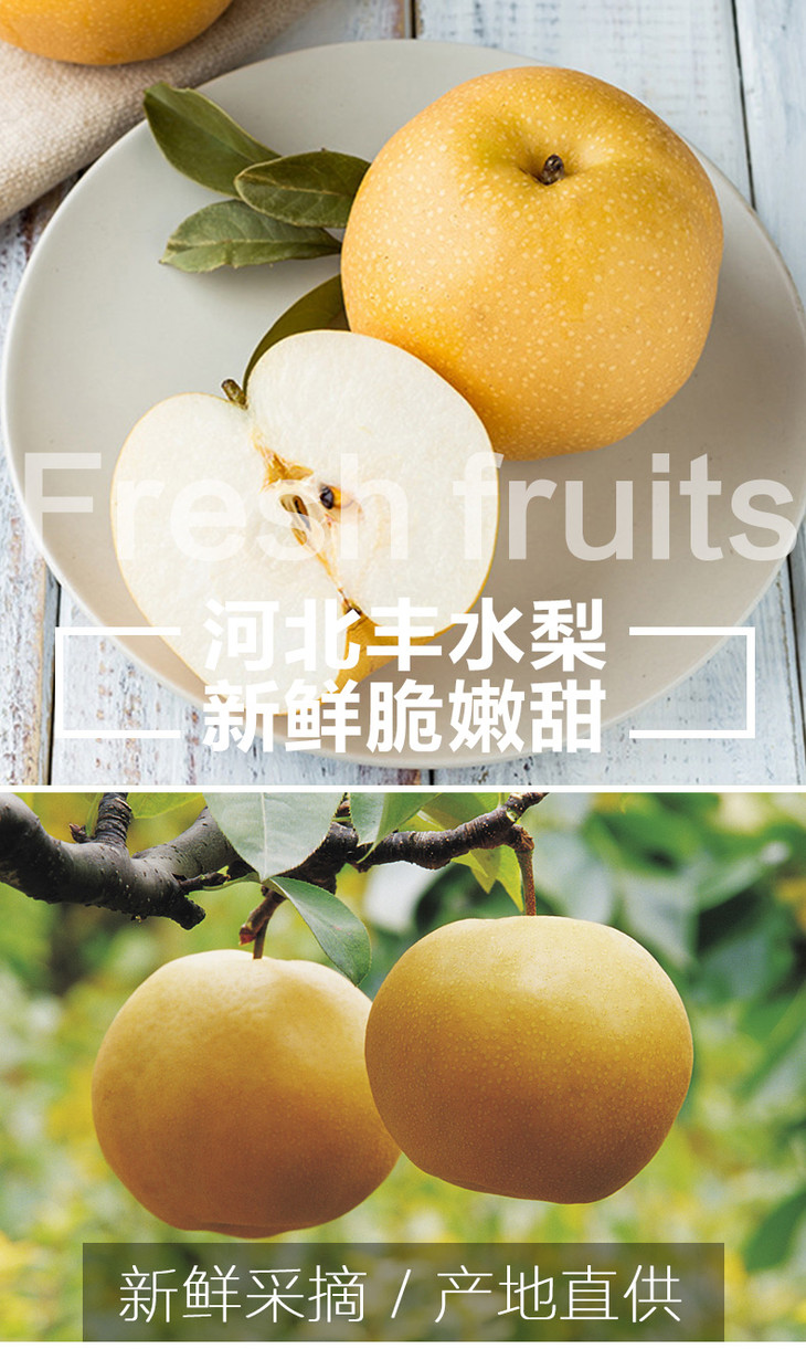 999元2斤河北冰糖丰水梨产地直供原汁原味约2斤