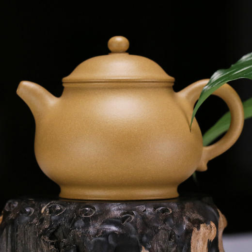 【潘壶】范亚萍大师手工紫砂壶 商品图3