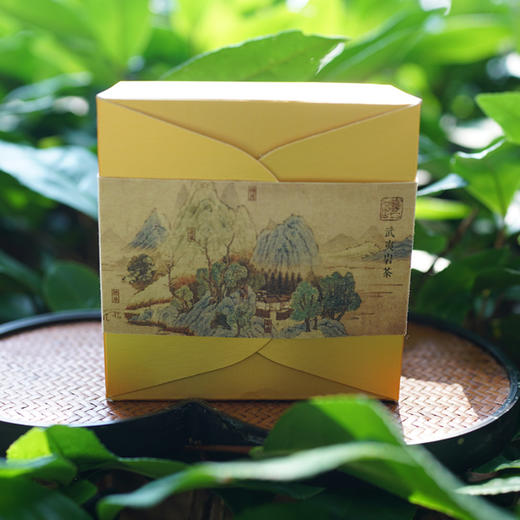 响岩丨游园雅赏 武夷岩茶组合装 乌龙茶 一级 40g 商品图0