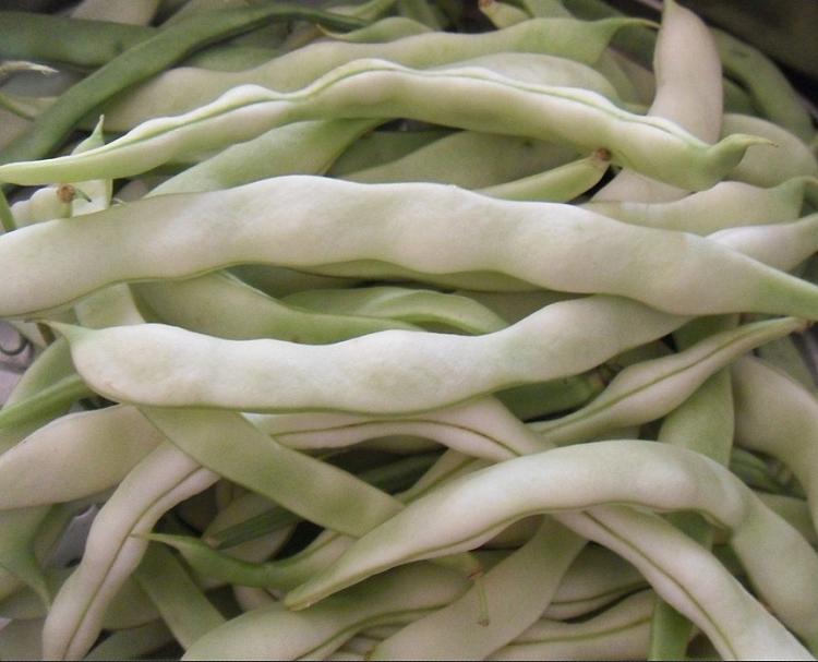 白不老豆角1斤(c.蔬菜)