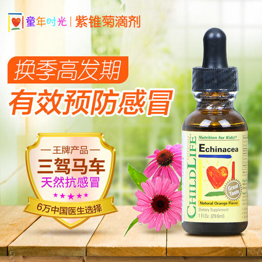 美国童年时光CHILDLIFE紫锥菊滴剂 预防感冒增强免疫 商品图0