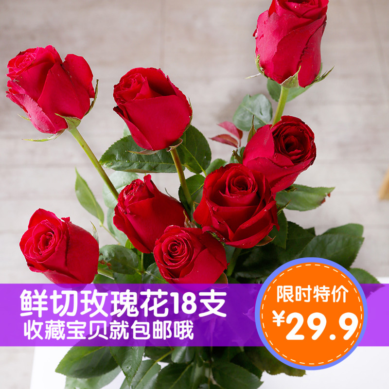 玫瑰花鲜花红白粉黄玫瑰花束家庭插花情人节生日礼物