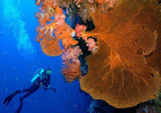 【行程】2021年菲律宾图巴塔哈船宿 商品图14