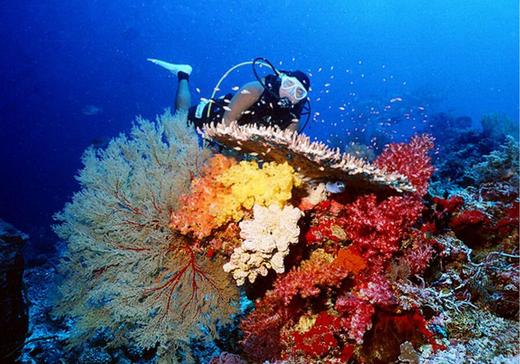 【行程】2021年菲律宾图巴塔哈船宿 商品图0