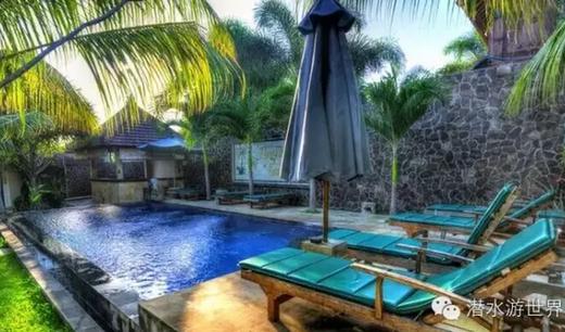 【度假村】巴厘图蓝本潜水套餐 - 飞鱼&摩娜Puri Tulamben - 沉船/微距潜水 商品图12