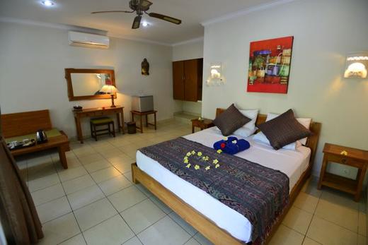 【度假村】巴厘图蓝本潜水套餐 - 飞鱼&摩娜Puri Tulamben - 沉船/微距潜水 商品图7