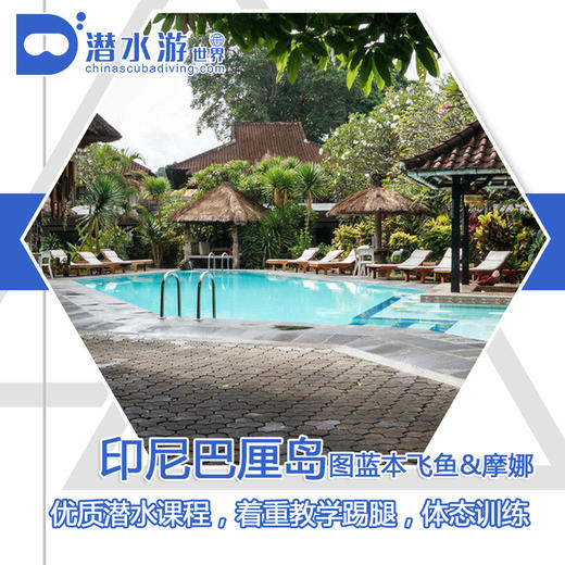 【度假村】巴厘图蓝本潜水套餐 - 飞鱼&摩娜Puri Tulamben - 沉船/微距潜水 商品图0