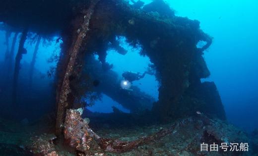 【度假村】巴厘图蓝本潜水套餐 - 飞鱼&摩娜Puri Tulamben - 沉船/微距潜水 商品图2