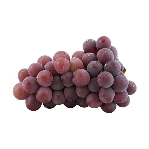 G20特供 浦江巨峰葡萄五斤装 商品图3