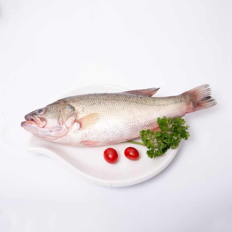 鲈鱼 约500g/份