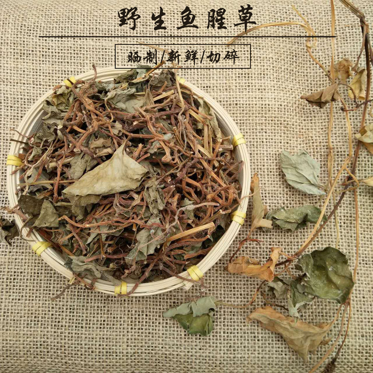 野生鱼腥草凉茶必备乡下折耳根凉茶下火凉茶