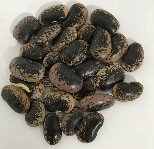 熟黑花肾豆（5斤装） 商品图0