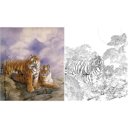 工笔动物白描底稿-纪淑文-老虎-斗方小品册页-LQ07 商品图0