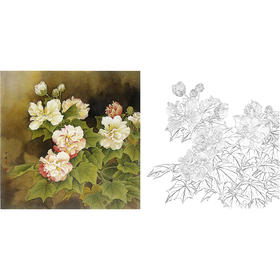 工笔花鸟白描底稿-周中耀《秋色无边胜春光》-芙蓉花-斗方小品册页-LQ10
