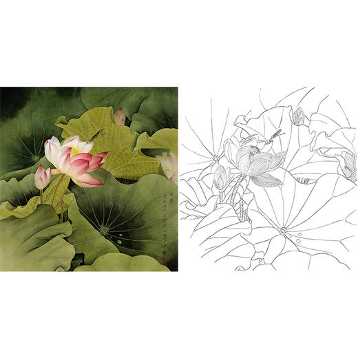 工笔花鸟白描底稿-周中耀《不染》-荷花-斗方小品册页-LQ09 商品图0