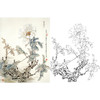 工笔花鸟白描底稿-王道中白玉牡丹-斗方小品册页-LQ13 商品缩略图0
