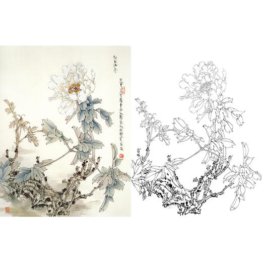 工笔花鸟白描底稿-王道中白玉牡丹-斗方小品册页-LQ13 商品图0