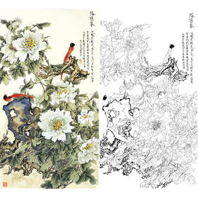 竖幅工笔花鸟白描底稿-牡丹-王道中洛阳春-LQ14