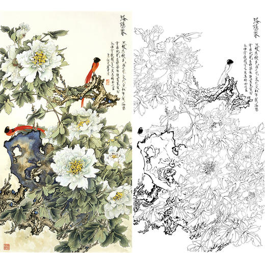 竖幅工笔花鸟白描底稿-牡丹-王道中洛阳春-LQ14 商品图0