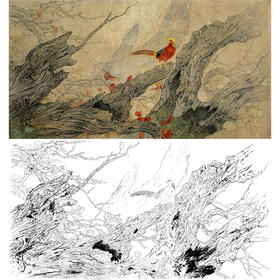 横幅四尺六尺工笔花鸟白描底稿-周中耀-锦鸡《黎明知多少》-多种白描尺寸可选-LQ02