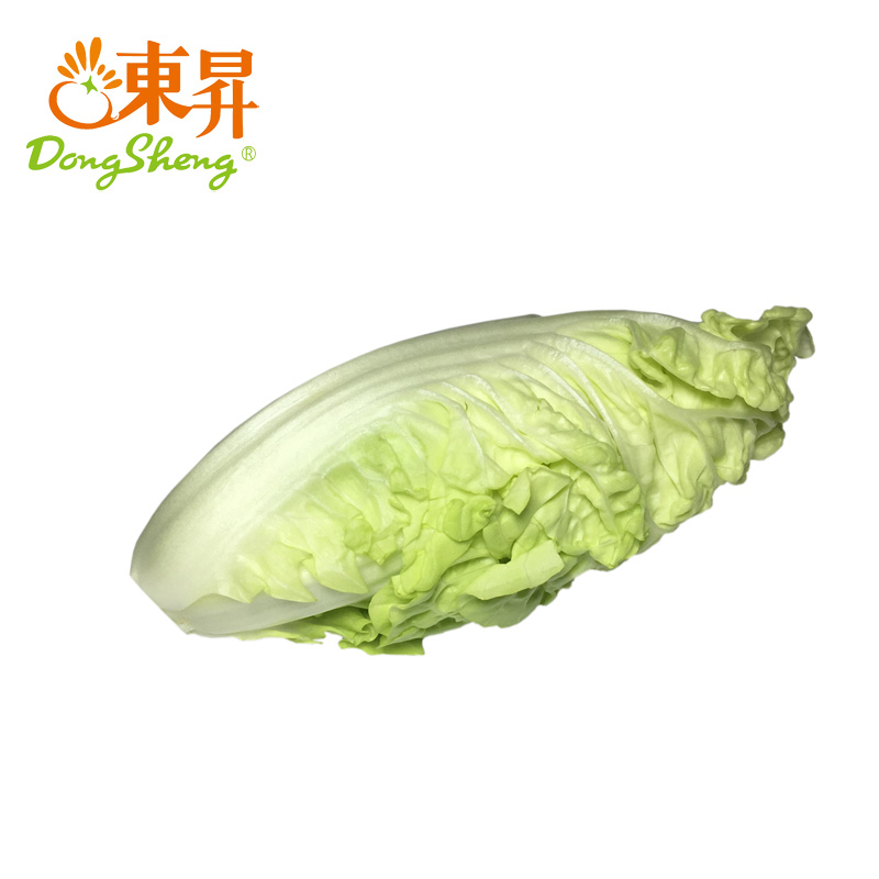 东升农场 东升银丝王菜 青菜 广州新鲜蔬菜配送 300g