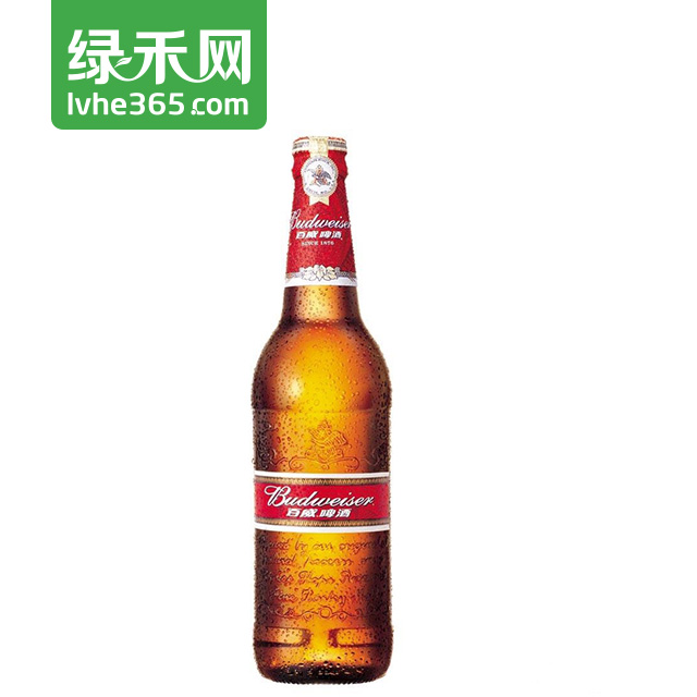 【绿禾网】百威啤酒500ml*12瓶/箱