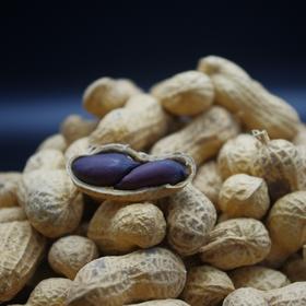 合作生产 |有机黑皮花生