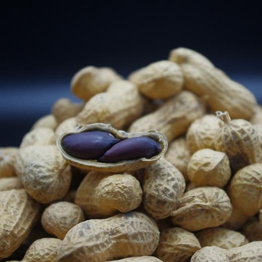 合作生产 |有机黑皮花生 商品图0