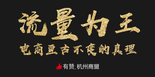 第16期有赞杭州商盟活动 8月17日《流量为王》 研习社之走进赞先科技 暨中粮健康生活、中石化浙江百万大号招商会 商品图0