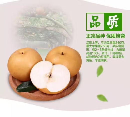 金秋梨 商品图0