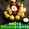 大荔冬枣 商品缩略图0