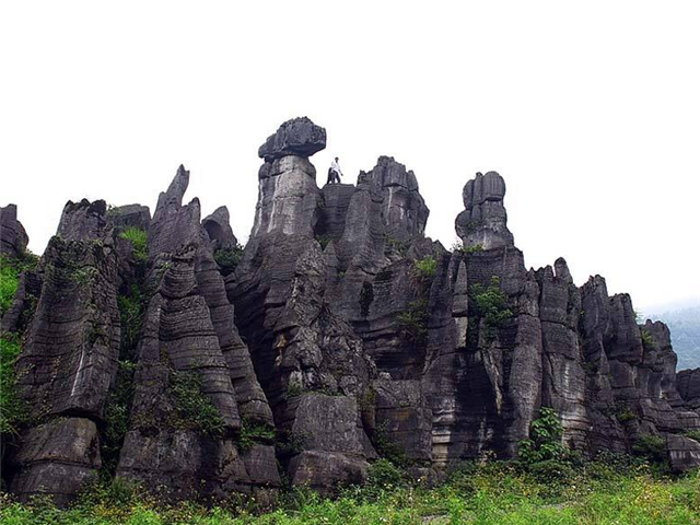 长宁西部石林      梅硐西部竹石林景区,这里是蜀南竹海的续景区,是