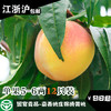 （永久下架）国宴贡品-嘉善姚庄锦绣黄桃（原产地直发） 商品缩略图0