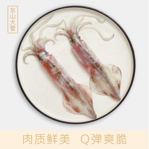 【东山岛野生捕捞】东山手钓大管，鲜嫩多汁（好物说） 商品图0