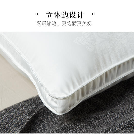 【百富精选】双宫茧桑蚕丝复合枕 商品图6