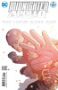 午夜战士阿波罗 Midnighter and Apollo 商品缩略图4