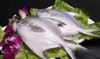 【现货】东海野生鲳鳊鱼250克 商品缩略图0