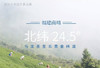 纯净乌龙，来自云水谣之巅 商品缩略图0