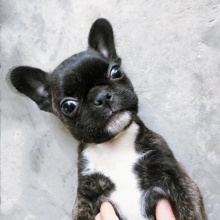 超人出品微生活200511