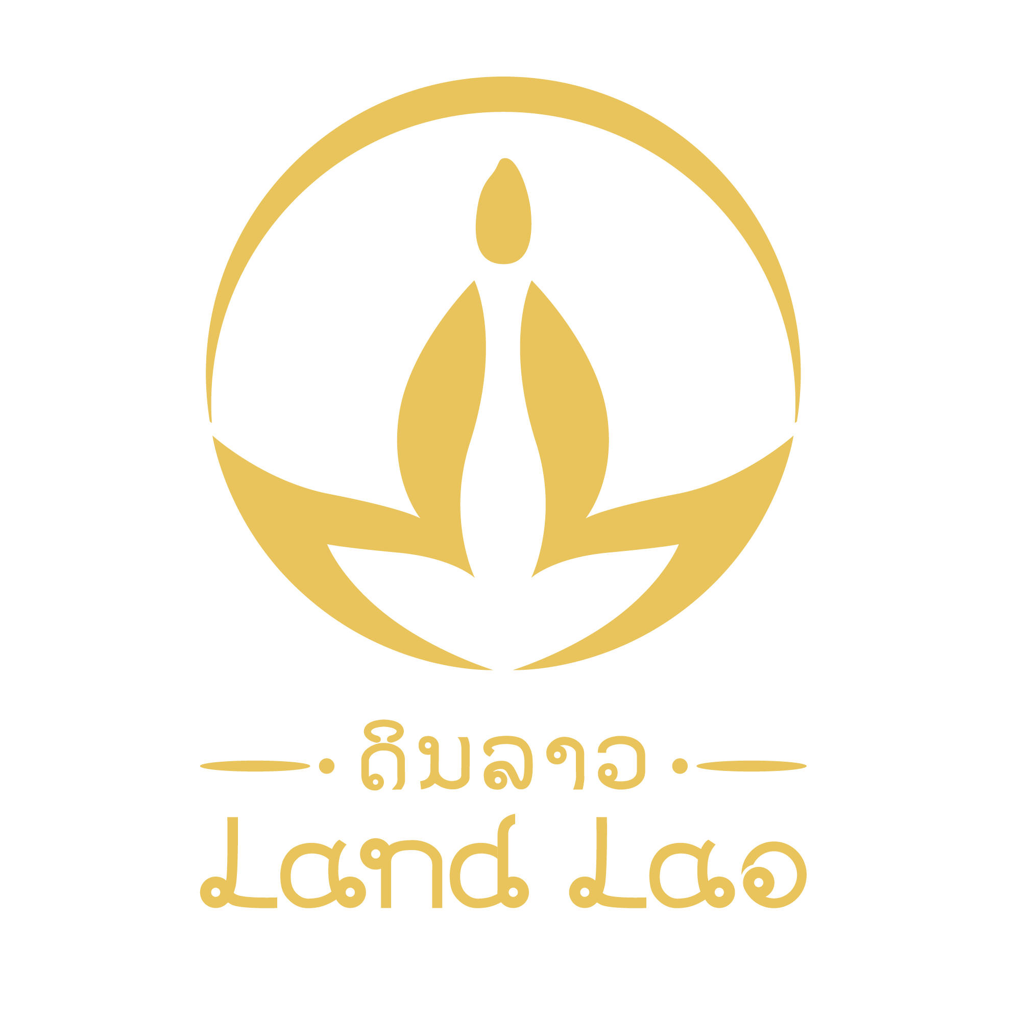 Land lao旗舰店200131