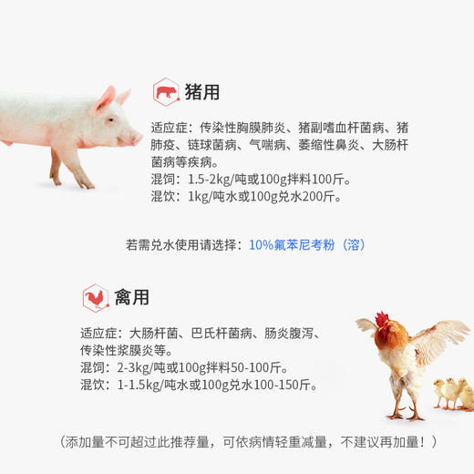 巨龙动保氟乐-10氟苯尼考粉（可溶）10%100g 商品图2