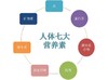 第33天 - 补充人体7大营养素 商品缩略图0