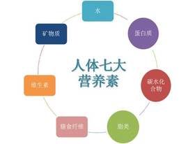 第33天 - 补充人体7大营养素