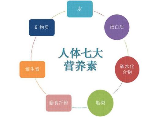 第33天 - 补充人体7大营养素 商品图0