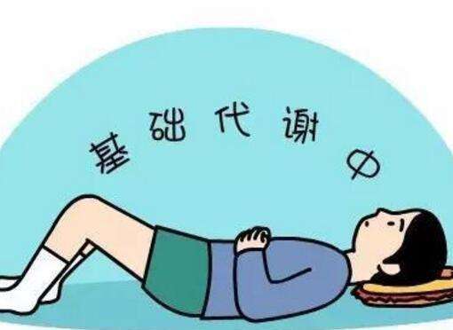 第34天 - 基础代谢率 商品图0
