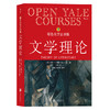 耶鲁大学公开课：文学理论 商品缩略图0