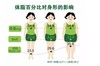 第53天 - 体脂含量百分比 商品缩略图0